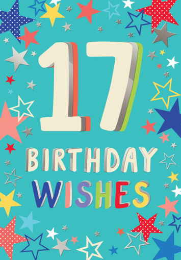 Picture of 17 BIRTHDAY WISHES CARD
